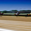 BELMONT RACE TRACK 2010